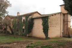 torrecorb-5