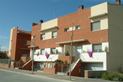 alcarras-01